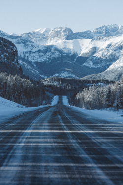 teapalm:  (Tasha Marie) | Kananaskis, Albertaprints | instagram