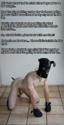 chastity Lover