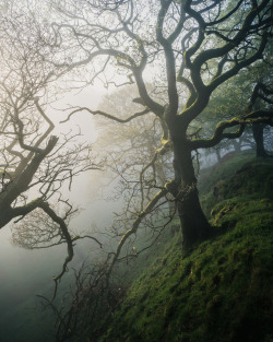 90377:  Someplace in the Peaks 20 May 2017 by Matthew Dartford