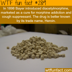 wtf-fun-factss:  The cure for morphine is something worst - WTF