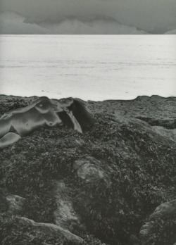 vivipiuomeno1:Eikoh Hosoe ph. - ‘Luna Rossa’  2000 Photobook