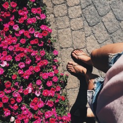 flordecalifa:  🌸 F L O R 🌸 