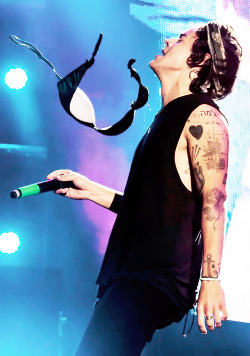 tomlin☼