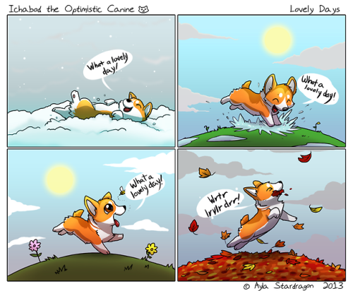 mystical-flute:  chelseamourning:  chubbythecorgi:  My friend sent me this amazing corgi comic! (originals found here)  THIS IS THE CUTEST THING EVER  THE LAST ONE 
