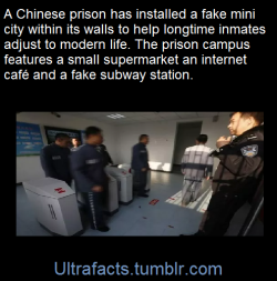 ultrafacts:  In an attempt to make long-term inmates more comfortable