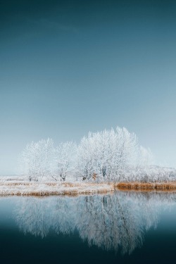 ponderation:Cabin In The Cottonwoods by Sam Brockway     