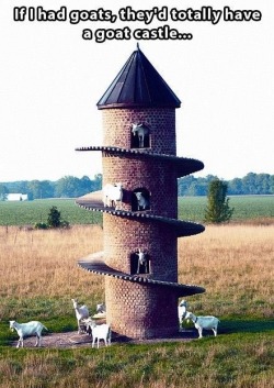 Agricultural architecture