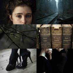 ob-serva-dor:  ILVERMORNY aesthetic  #harrypotter #ilvermorny