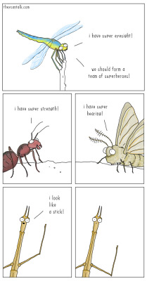 theycantalk:  Super insects unite.