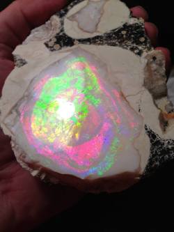 for you crazy opal Lovers :)this specimen is a Geyser Opal from