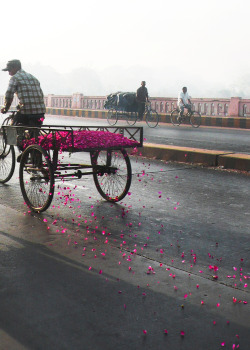 everlytrue:A tricycle driver in Ahmedabad, India was hired to