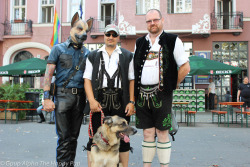 German Shepherds (psst, one is actually a human leather dog!)