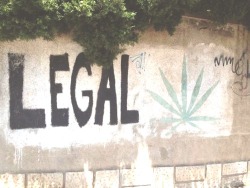 hello mary jane.