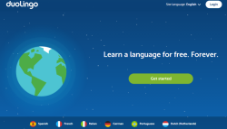 pennameverity:  This is Duolingo, a language-learning website/app