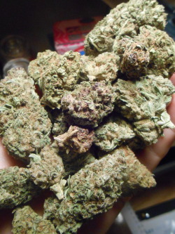 larnbey:  love having a variety of nugs to choose from :)
