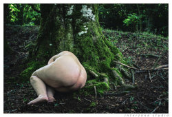 kinkissx:  Runaway slave sleeping under a tree in the forest,