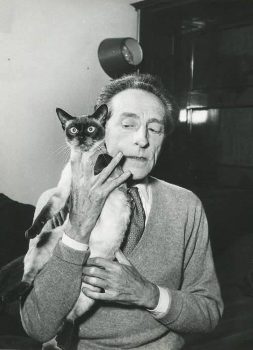 Jean Cocteau et son chat photographié par Serge Lido Nudes &