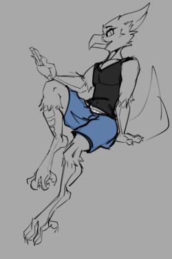 very wip doodle of my new birbneed to think of a name…