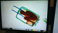 sixpenceee:  An 8-year-old boy inside a suitcase on May 8  as