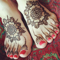 The Pedi-Connoisseur