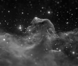 chaosophia218:  Tilt-Shifted Images of the Cosmos.1. Horsehead