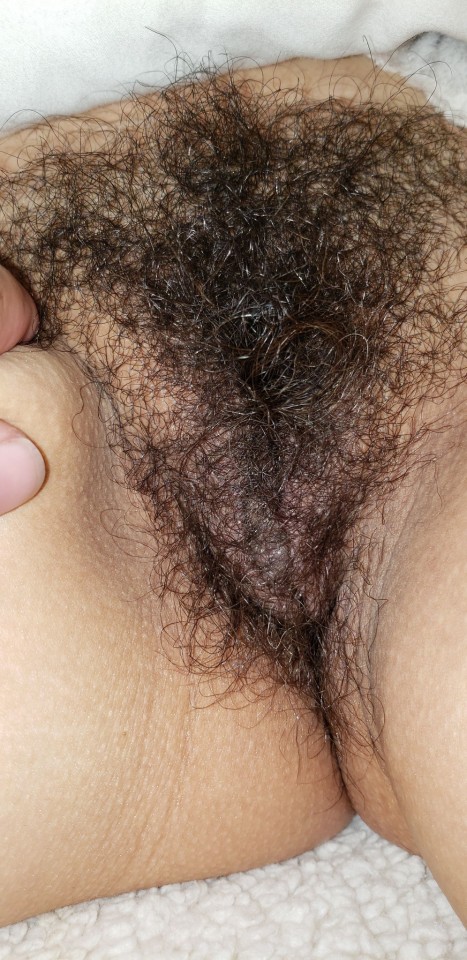 myhairylatinawife:My wife in a lavender Victoria’s Secret
