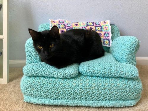 catsbeaversandducks:  Tiny Crochet Cat Couches With Matching