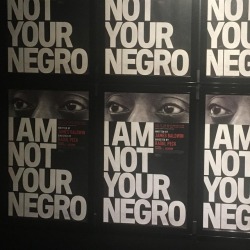 everyone needs to watch this right now  #iamnotyournegro #jamesbaldwin #americanhistory #martinlutherking #malcolmx