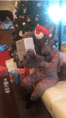 aceofheartsfox:  MERRY CHRISTMAS EVERYONE!!! :D I hope your day