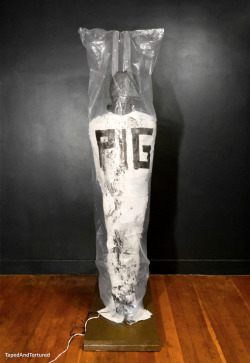 tapedandtortured:  Taped to the stake and bagged - with time