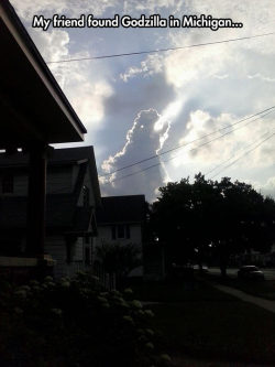 srsfunny:  Godzilla Visits Michiganhttp://srsfunny.tumblr.com/