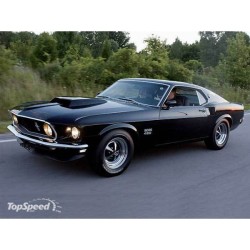 love-s2-semideusa:  1969 Ford Mustang Boss 429 - Picture 162434