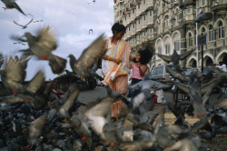 unrar:    Pigeons flutter around a woman in a sari and her daughter,