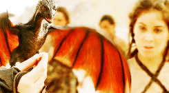 Dragons are fire made flesh.                     