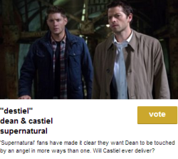 winchesterspiehole:  Go vote for Destiel for Ship of the Year