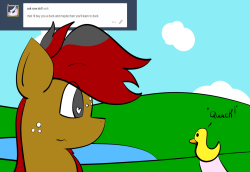 ask-the-awkward-fillies:Mist: I like to learn how to duck!x3