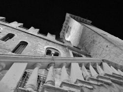umasearose:              