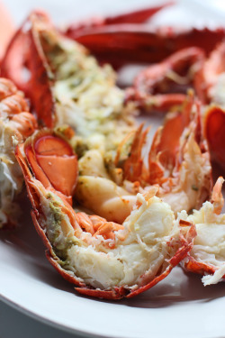 foodffs:Lobster Spaghetti (Santorini Style) Really nice recipes.