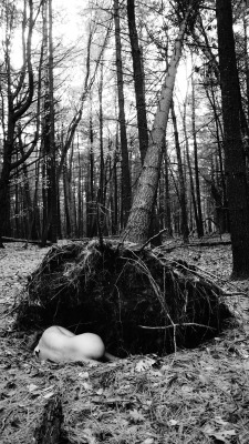 privateinconsistencies:  Meet me in the woods… http://privateinconsistencies.tumblr.com