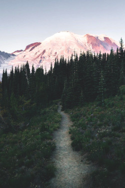 lsleofskye: Mount Rainier National Park | elliothawkey