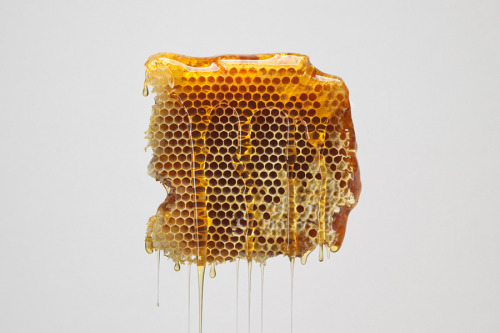 asthetiques:  HONEY - ONE OF THE MOST BEAUTIFUL THINGS ON THIS EARTH. 