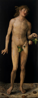 sculppp:   Albrecht Dürer  (1471-1528)  Adam