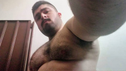 bear-hairy:  Déjanos tu comentario 🐻 . Rebloguea y comparte