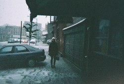 celeritious:     Day 11 by hannah metz Via Flickr: disposable