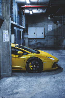 themanliness:  Lamborghini Aventador | Source | Facebook |