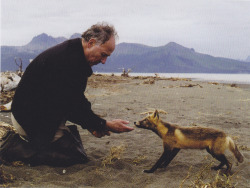 apeninacoquinete:  Werner Herzog and a fox.  