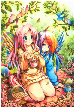 equestrian-pony-blog:  FlutterShy And Rainbow Dash by emperpep