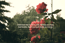 Always Blooming