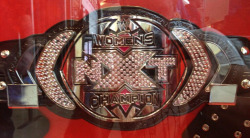 It’s way better than the WWE Diva’s Title that’s