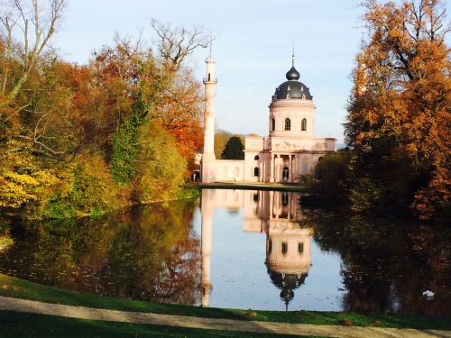 from a few weeks ago, visiting Germany Nov 2015. all the fall beauty ðŸ‚ðŸ